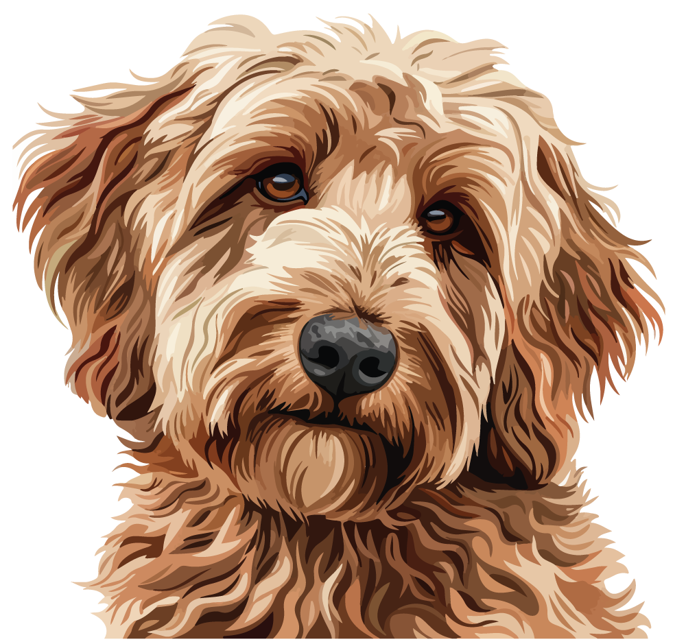 Illustrierte Bildmarke: Labradoodle-Kopf als Vektorillustration