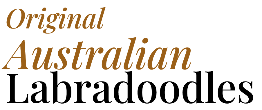 Feststehender Schriftzug Original Australian Labradoodles